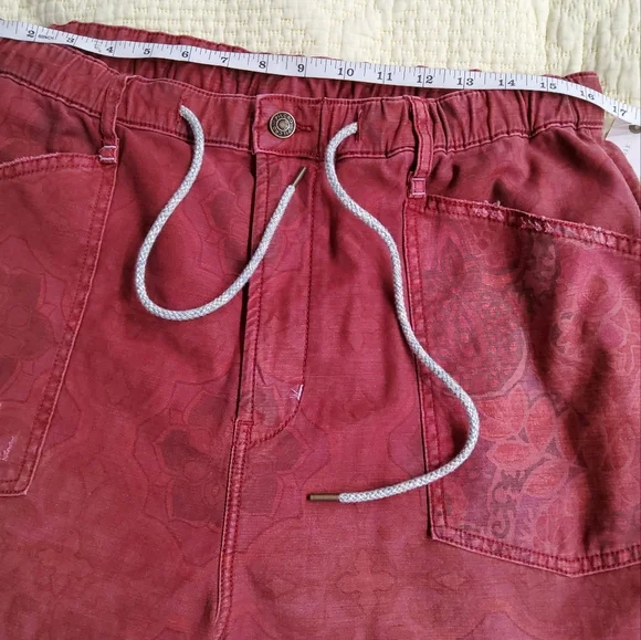 Anthropologie Pilcro The Trailblazer Pants Size L